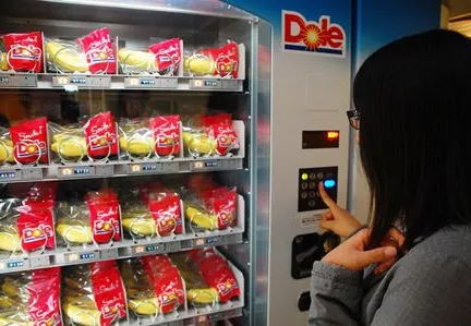 大宝娱乐-LG游戏|PT游戏|CQ9游戏